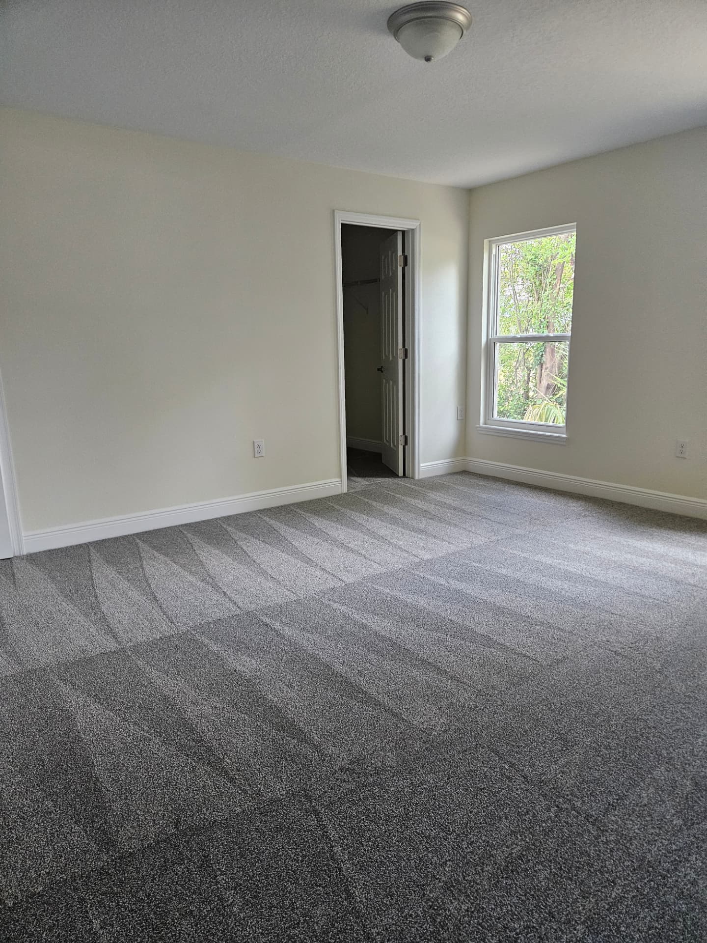 Freshly groomed office carpet with clean vacuum lines in an empty suite