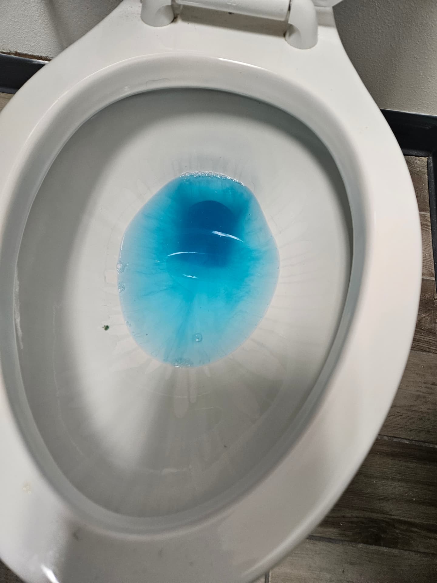 Close-up of a disinfected commercial toilet bowl treated with sanitizer